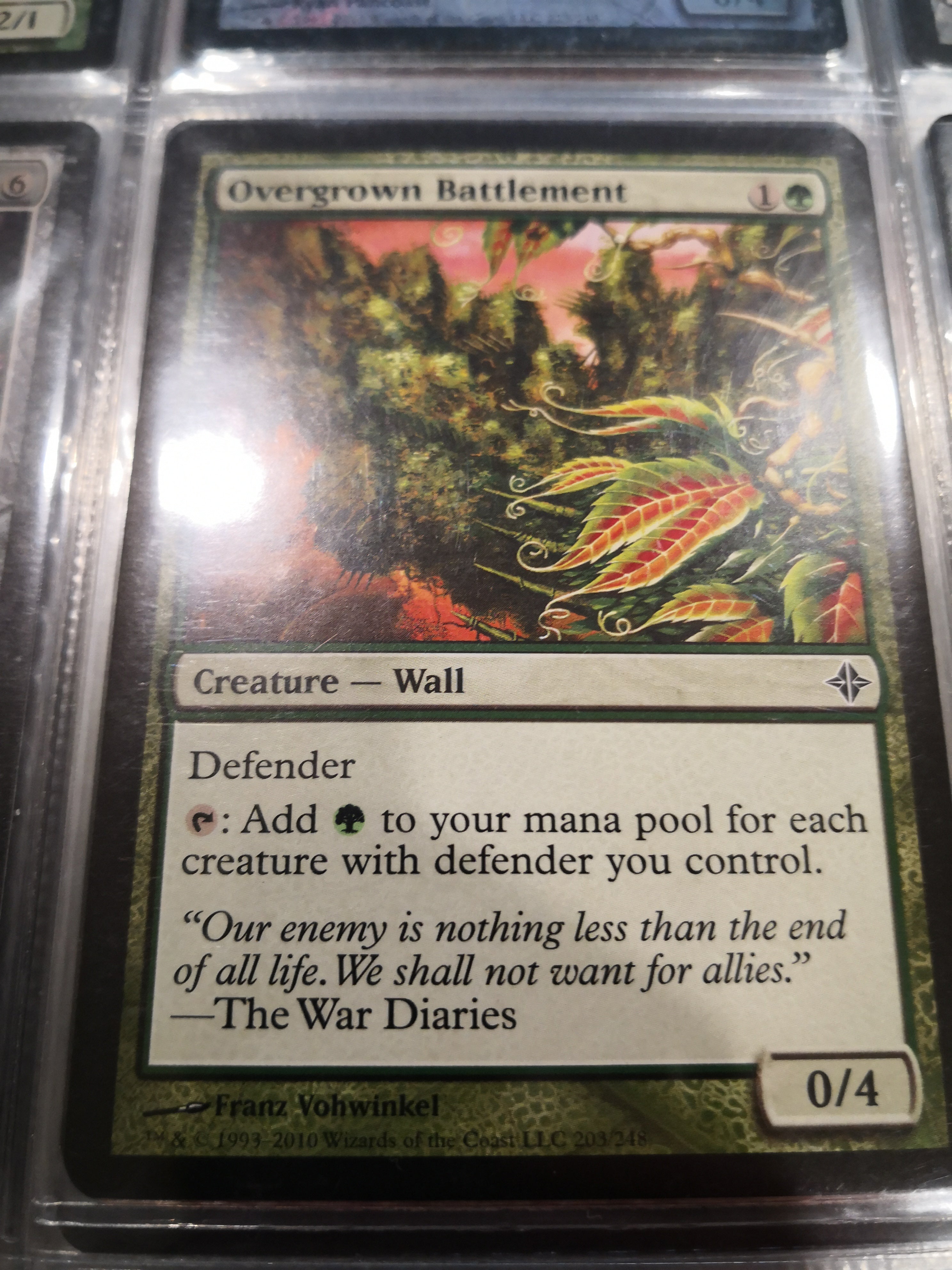 Overgrown Battlement 203/248 NM / LP
