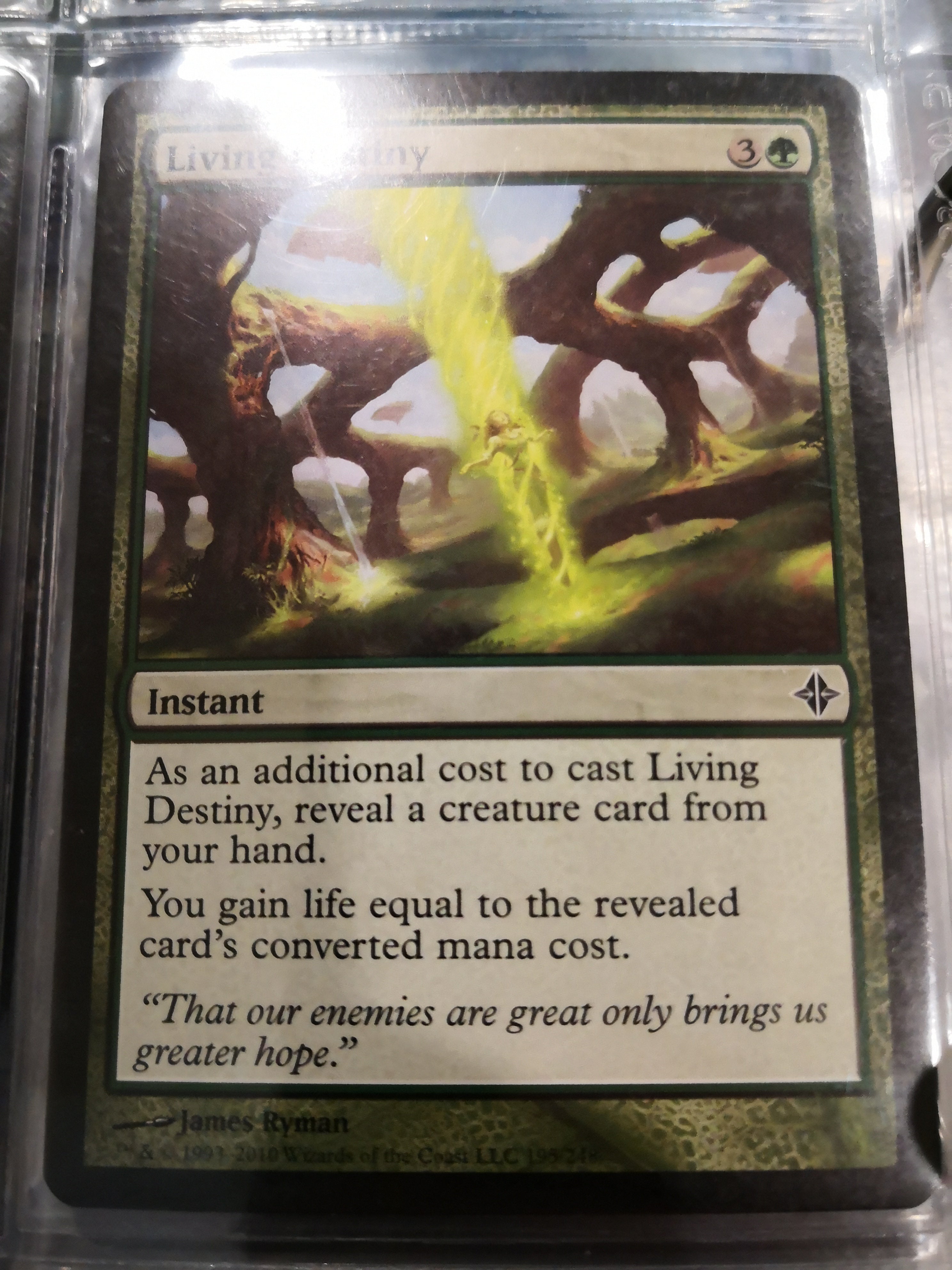 Living Destiny 195/248 NM / LP