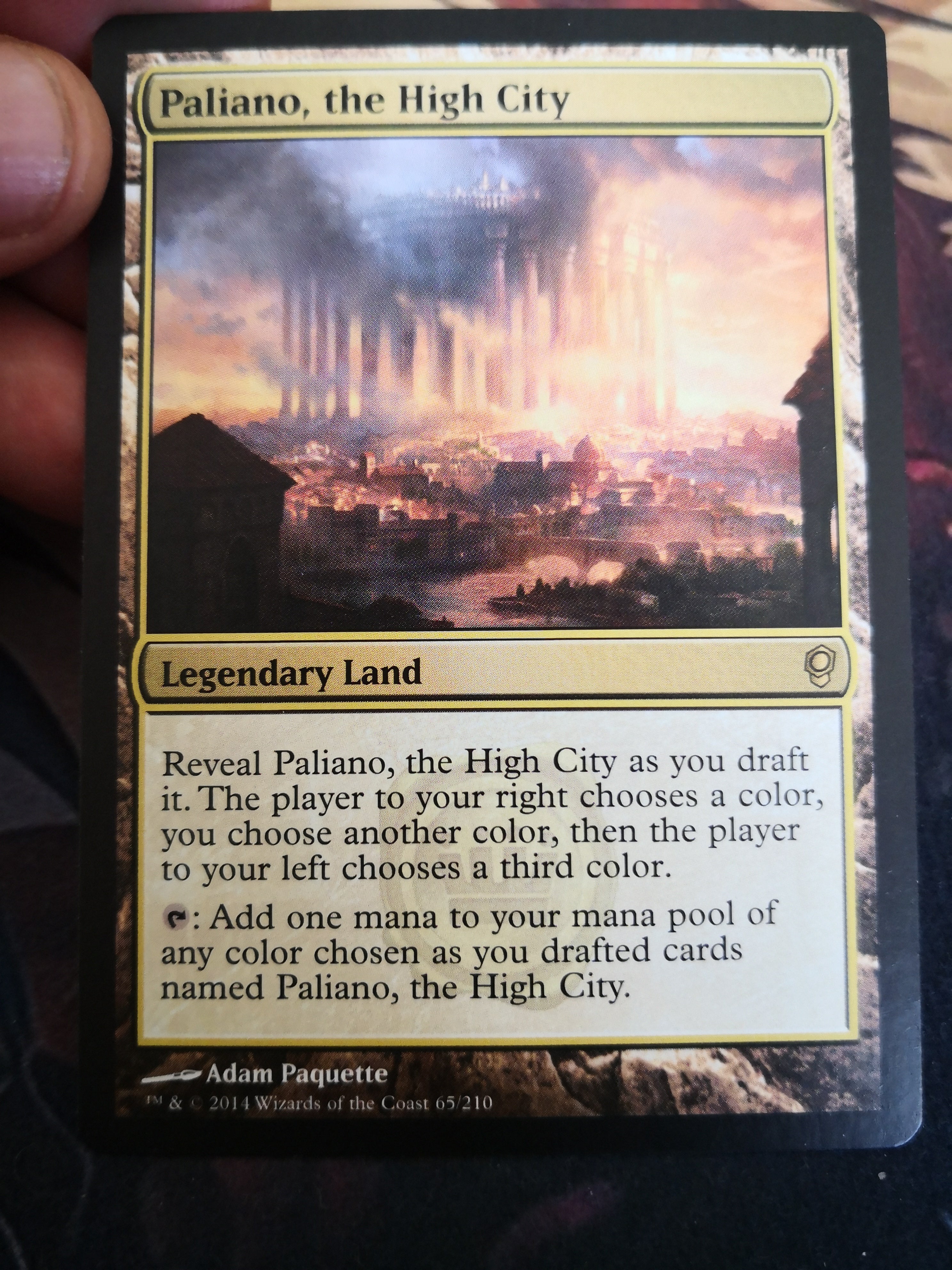 Paliano, The High City 65/210