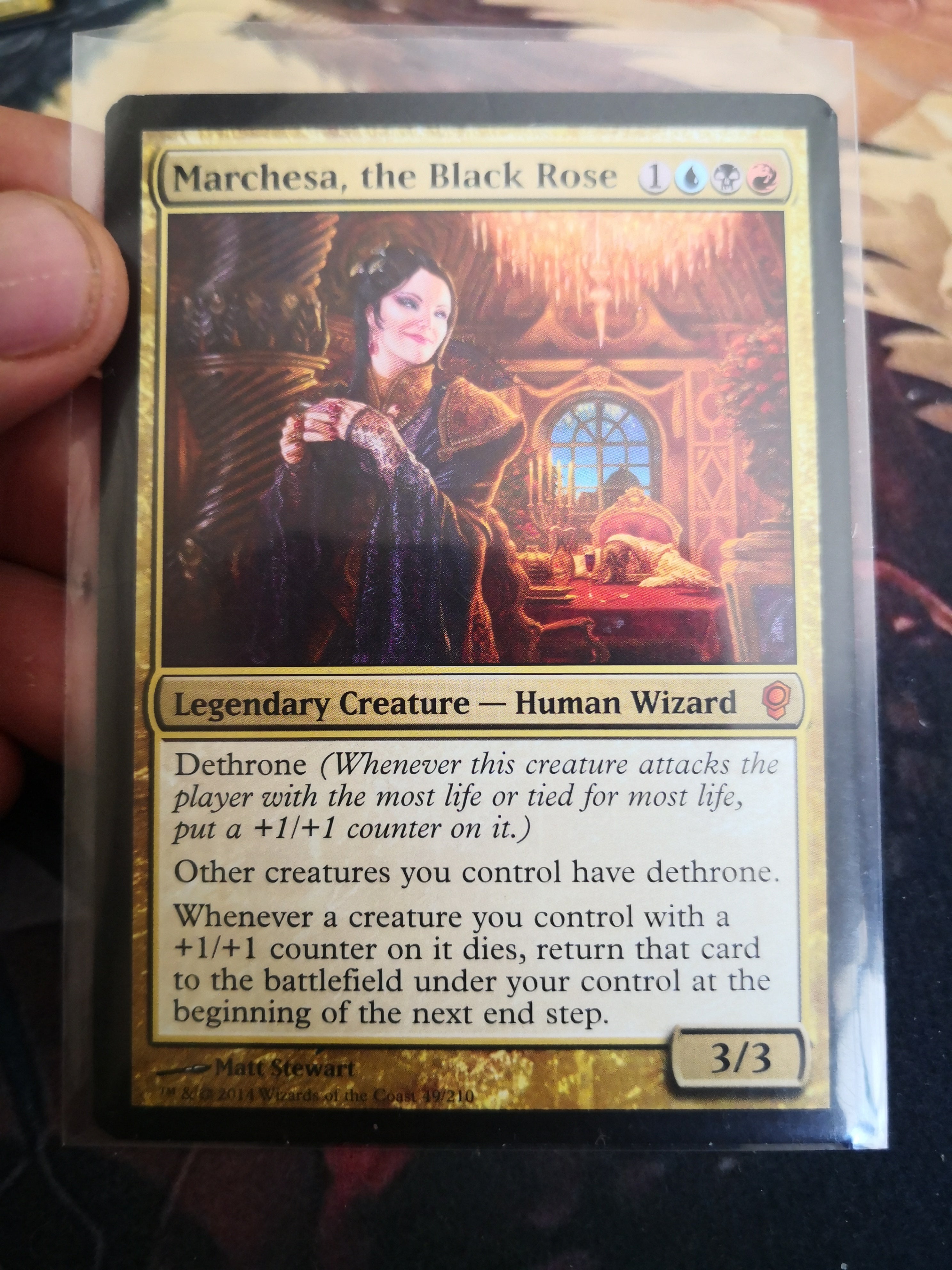 Marchesa, The Black Rose 49/210