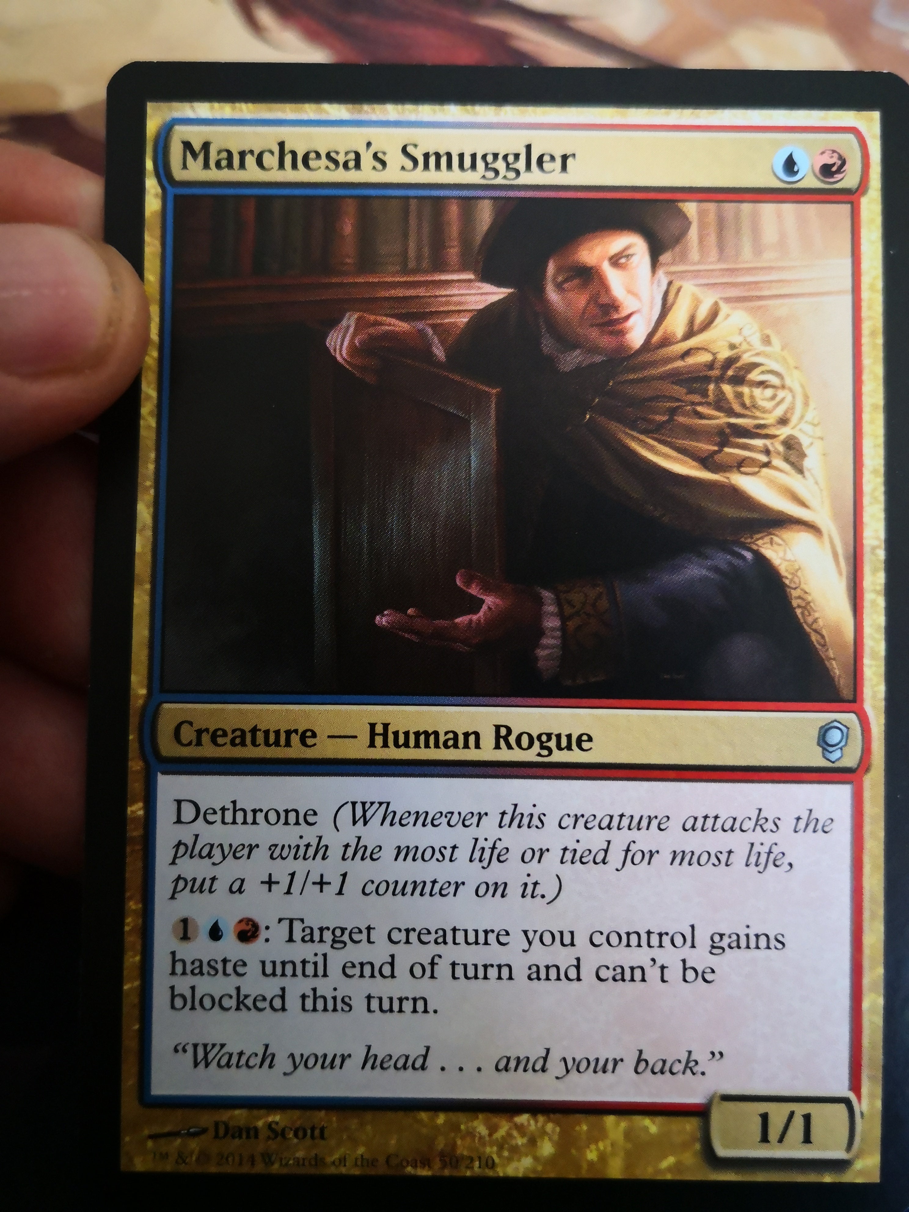 Marchesa's Smuggler 50/210