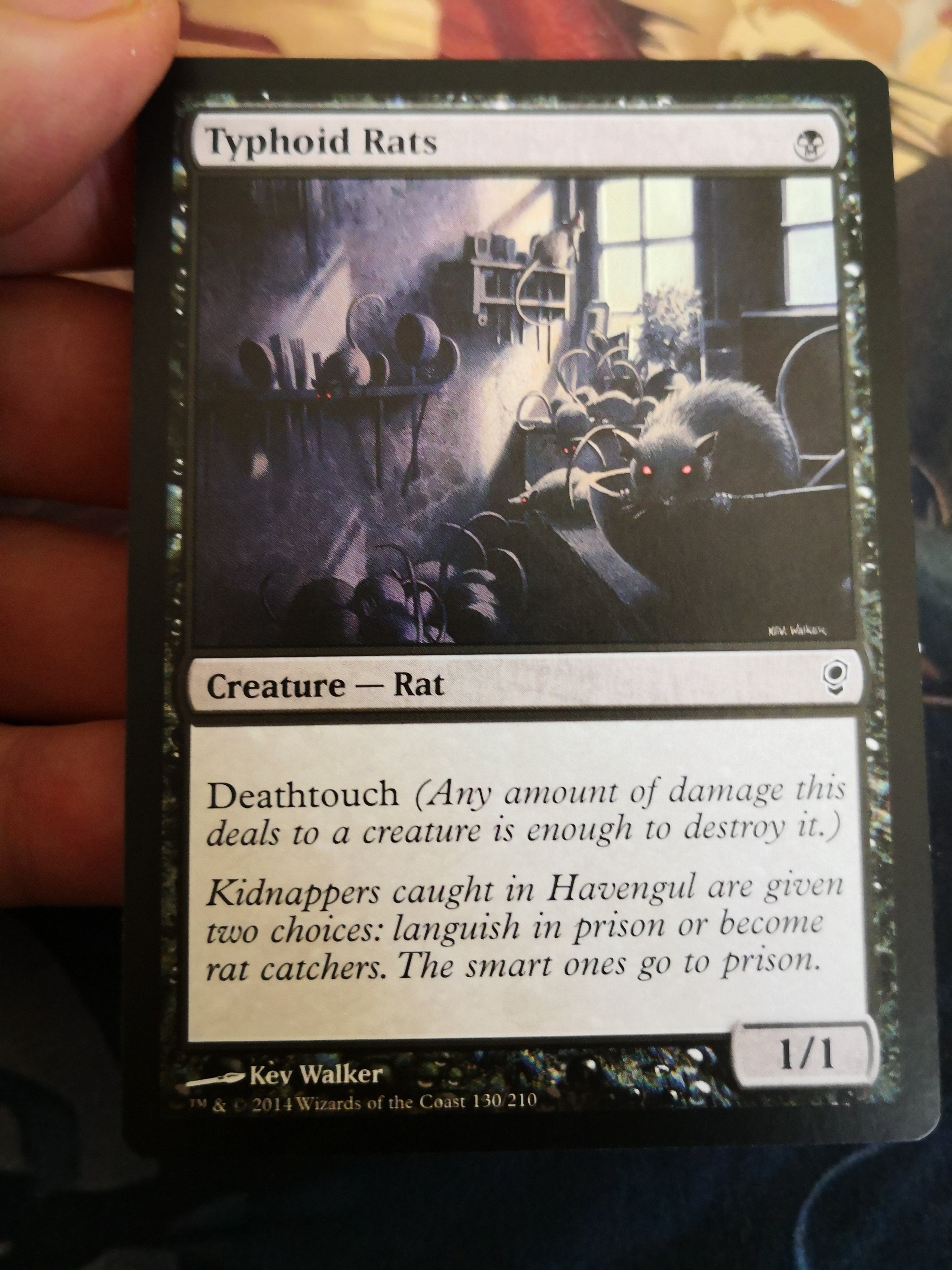 Typhoid Rats 130/210