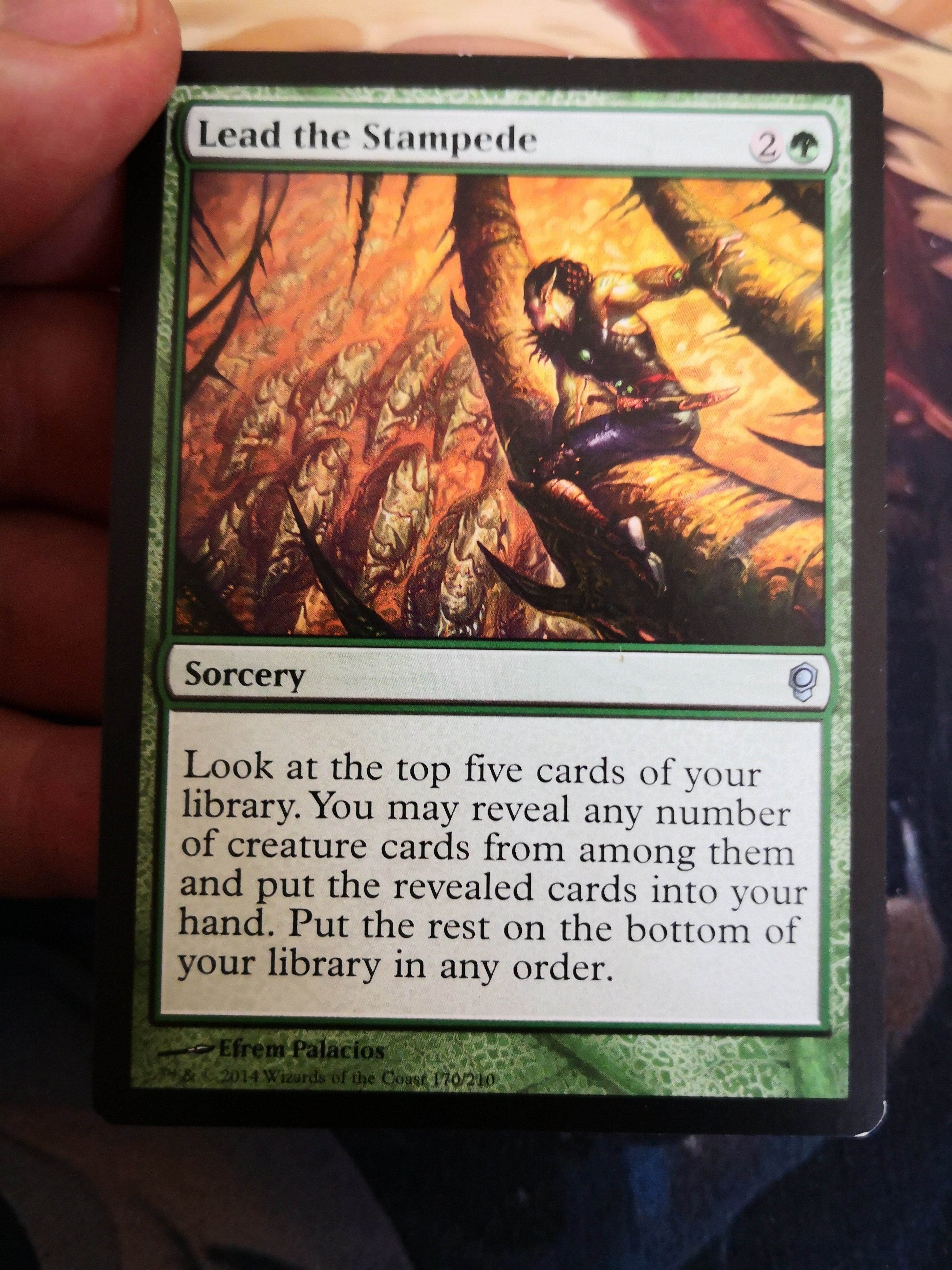 Lead the Stampede 170/210