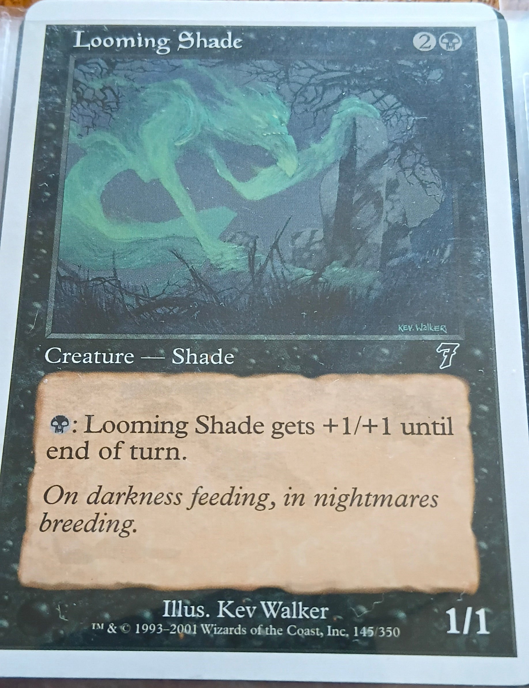 Looming Shade 145/350