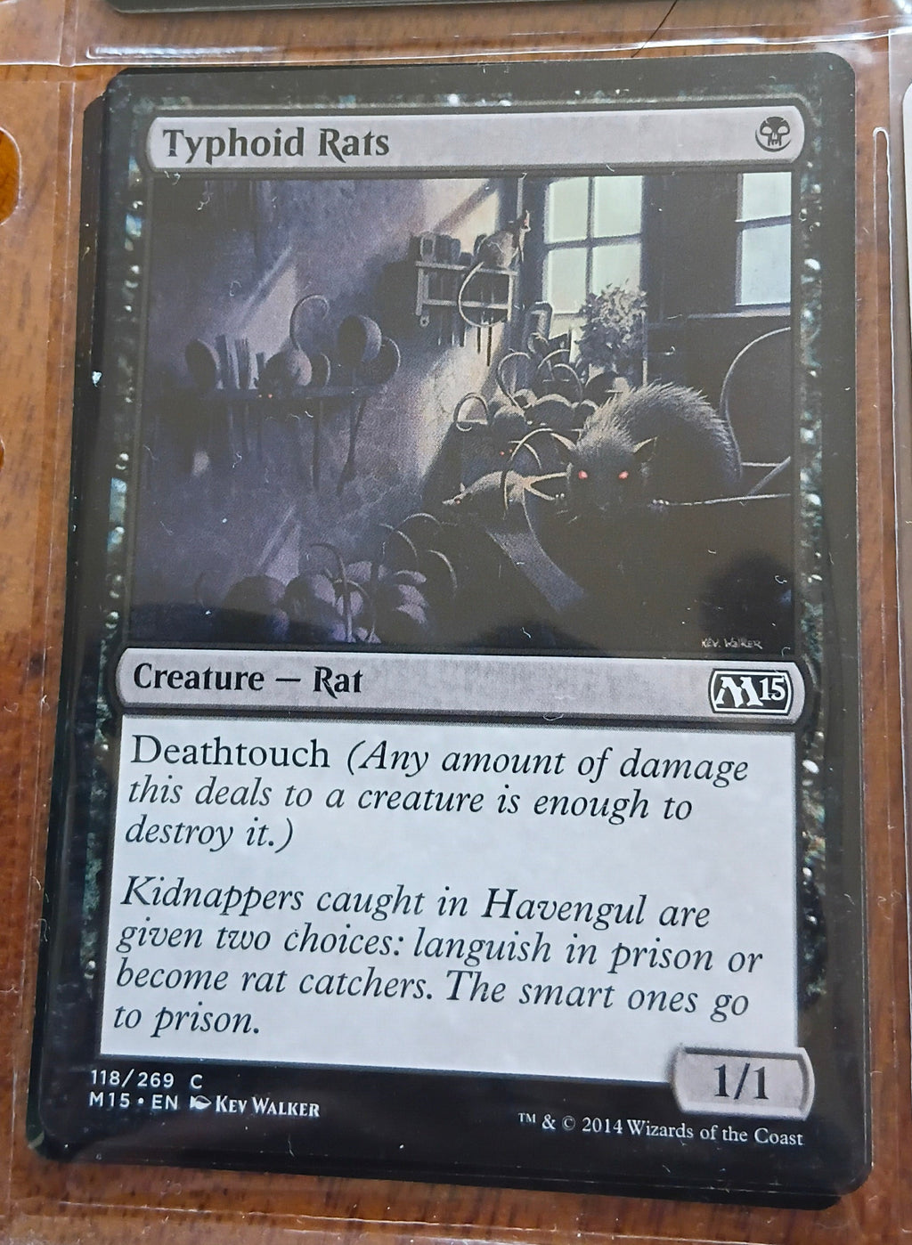 Typhoid Rats
