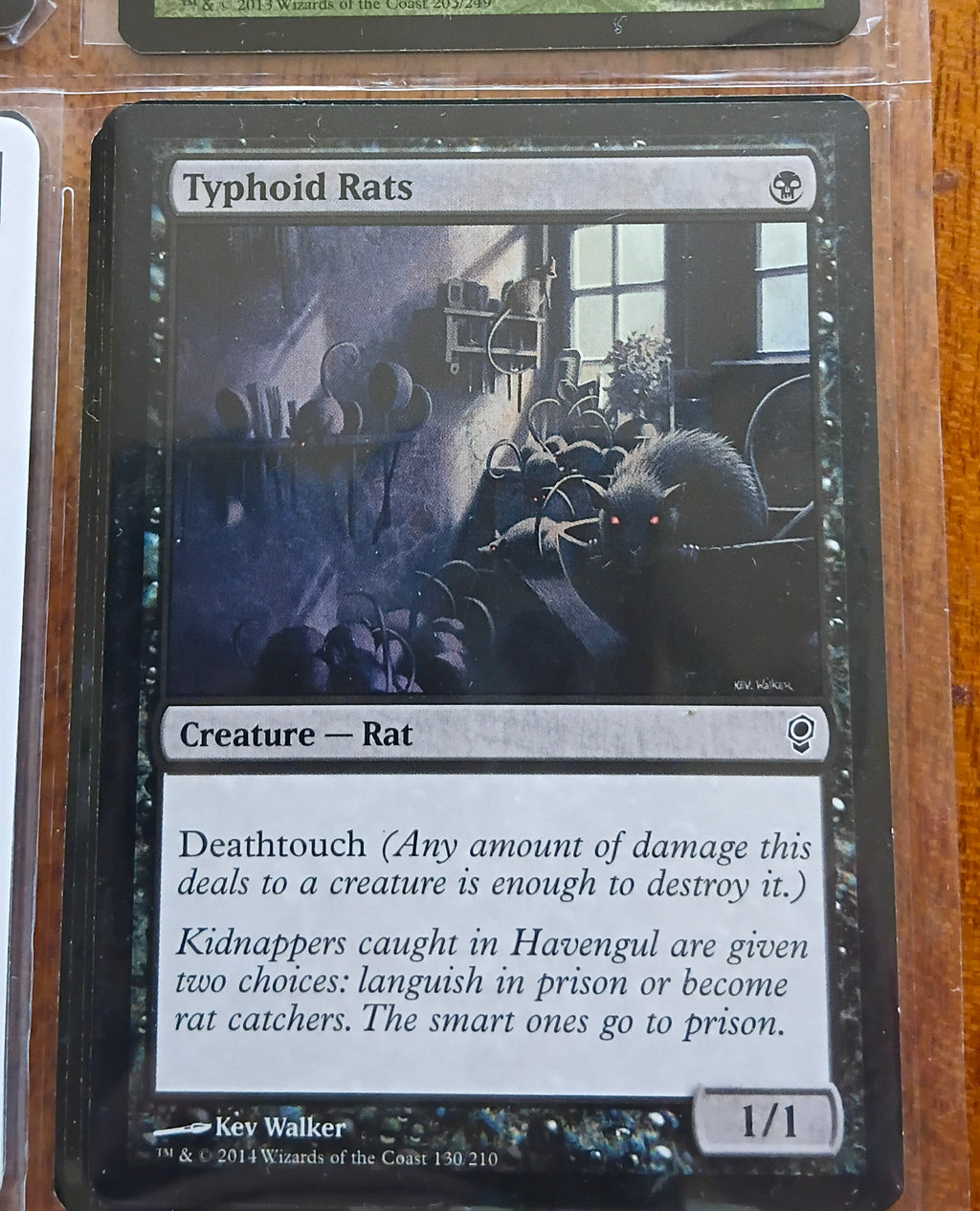 Typhoid Rats