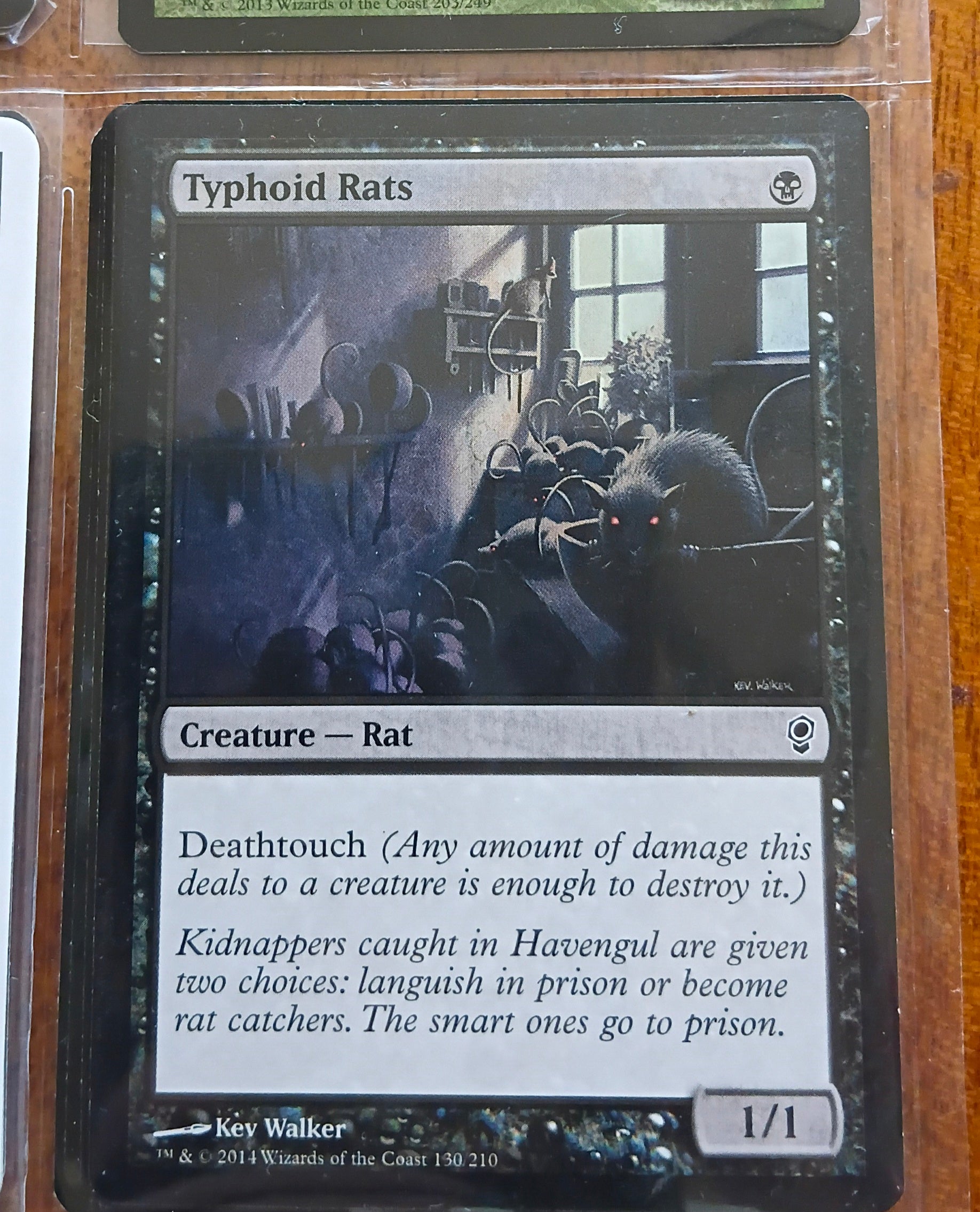 Typhoid Rats