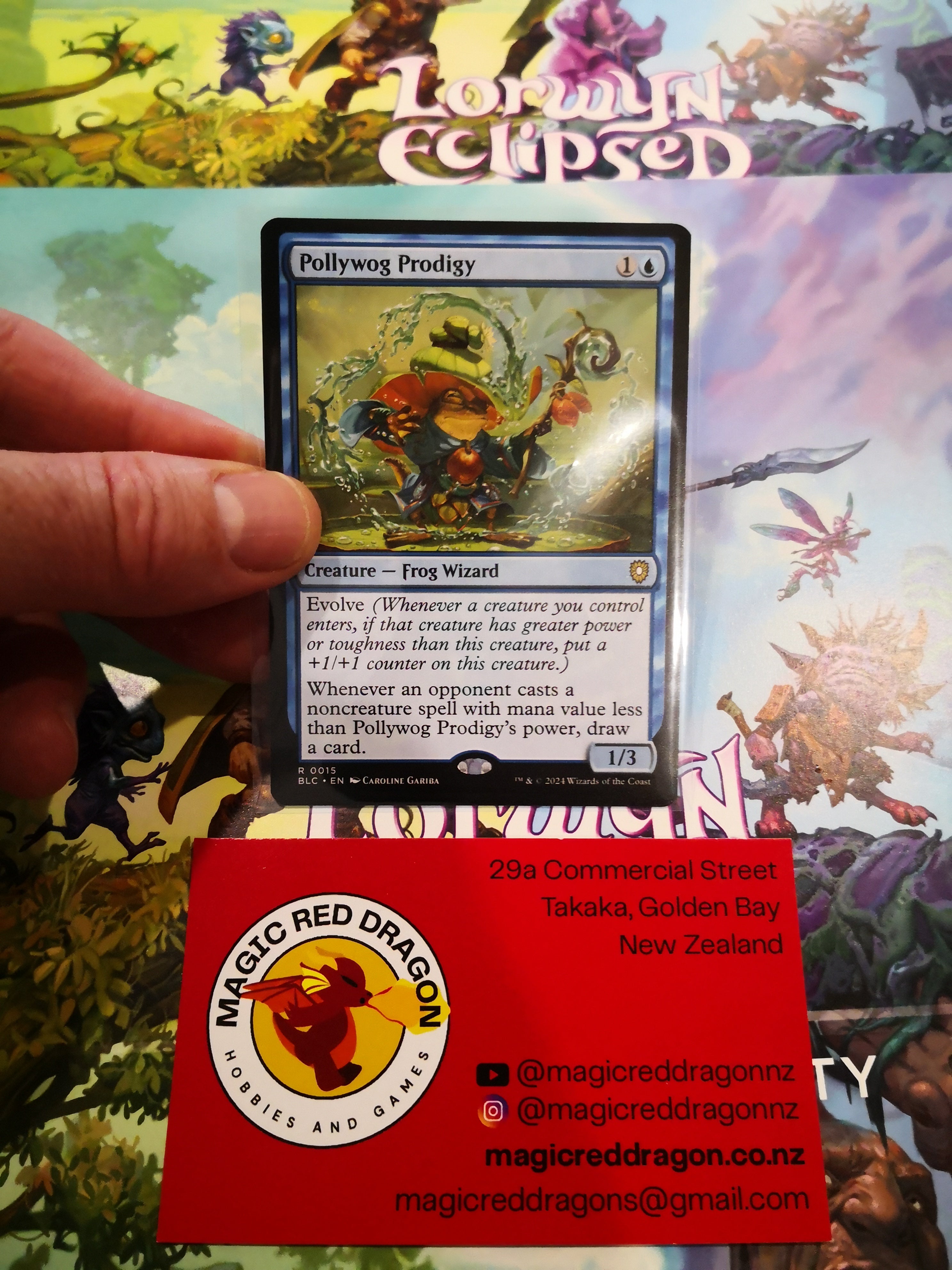 Pollywog Prodigy R 0015