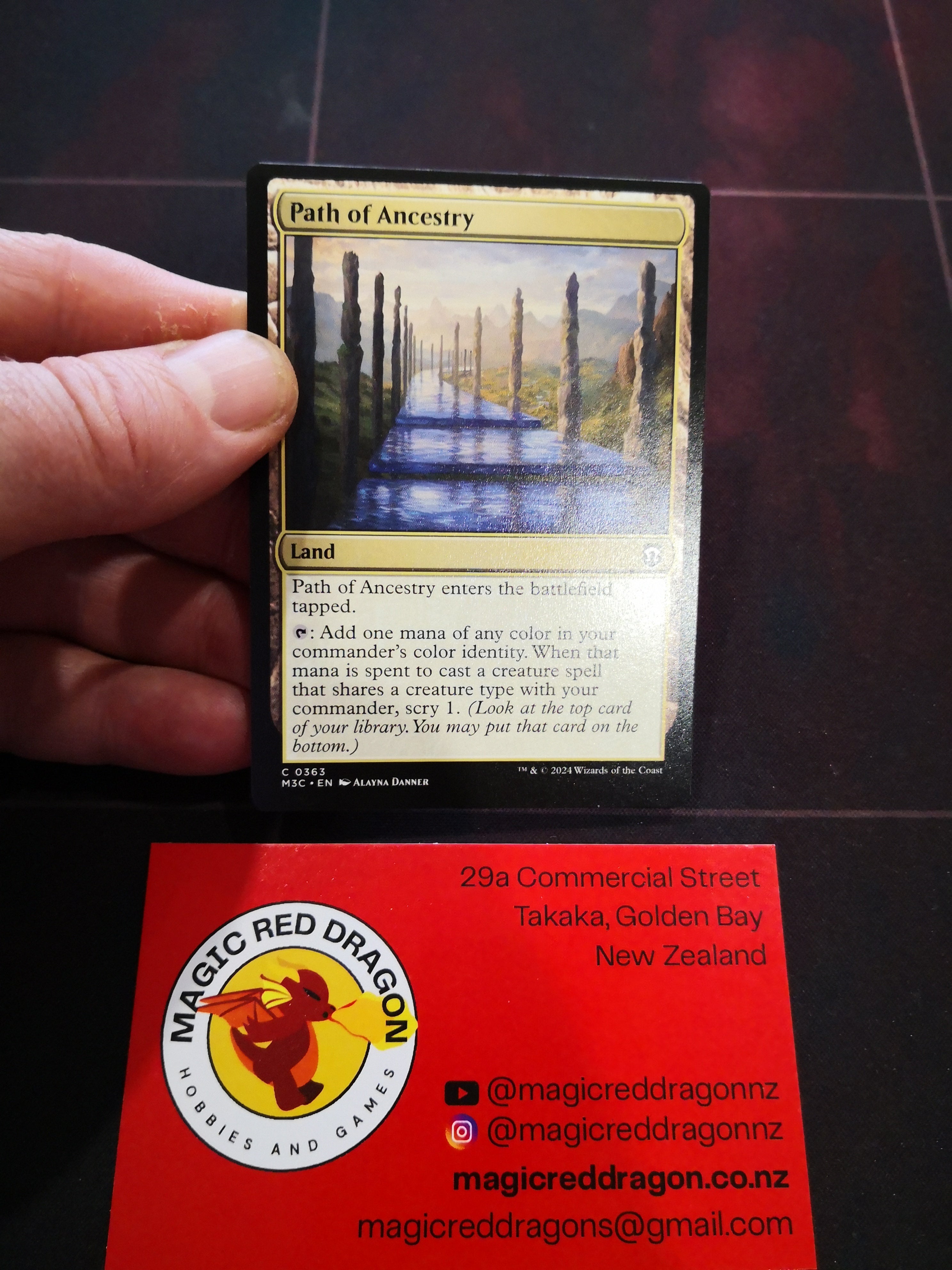 Path Of Ancestry C 0363