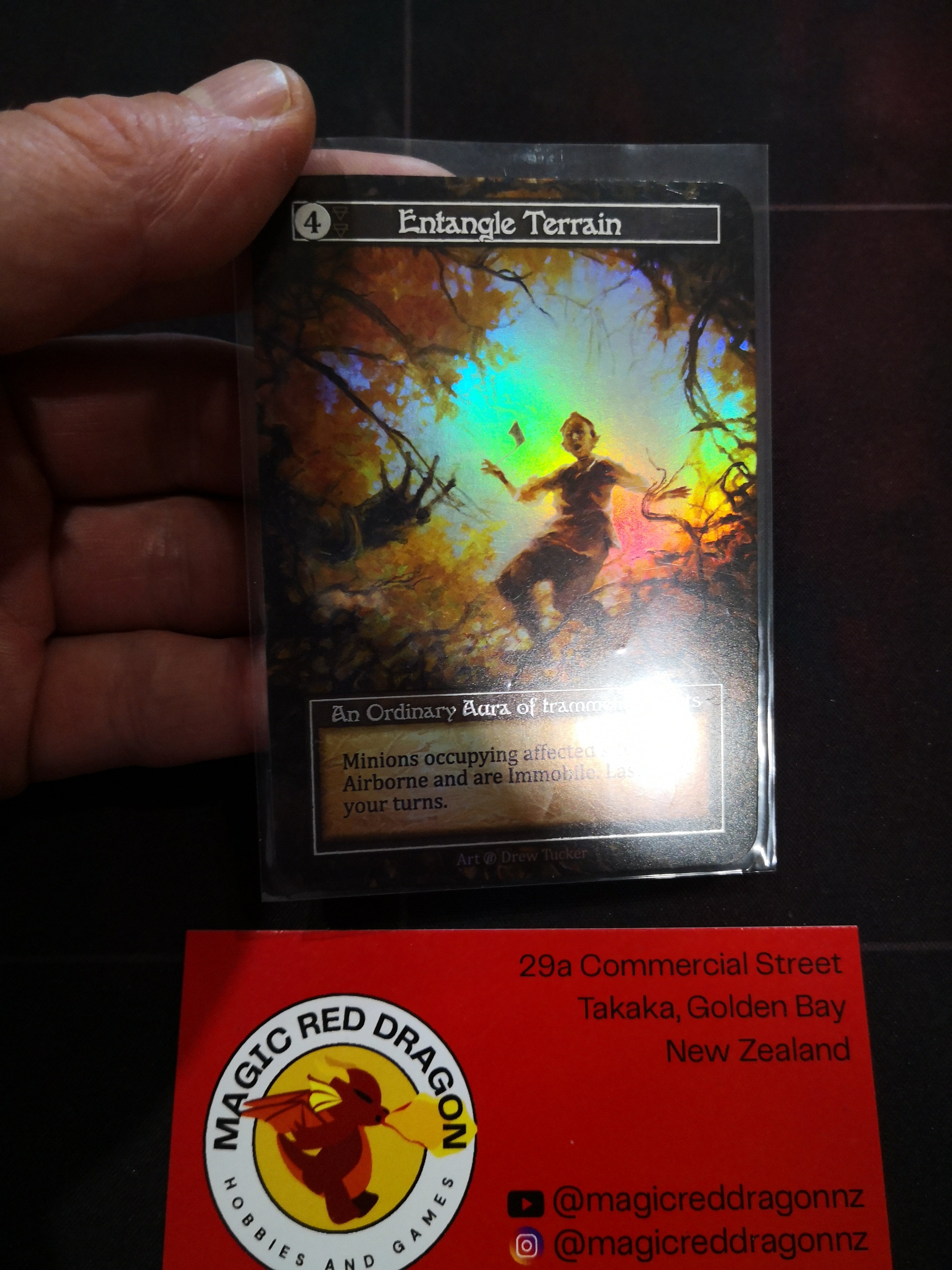 Entangle Terrain - FOIL- Sorcery The Contested Realm singles – Magic ...