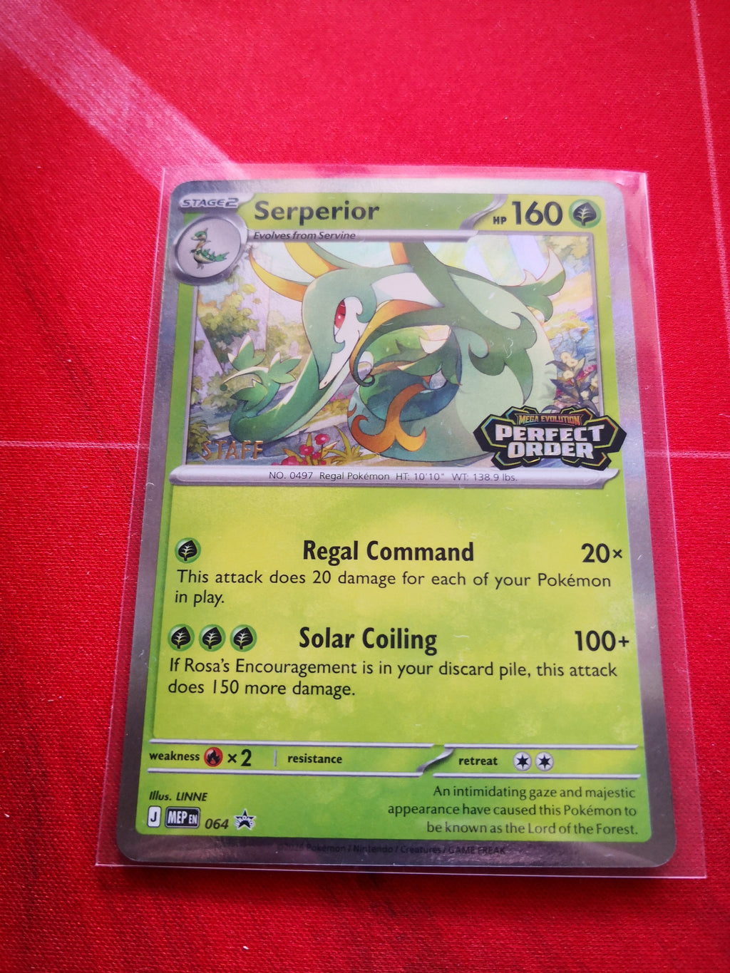Serperior 064 -Staff Stamped - Mega Evolution Promos - Pokemon TCG Singles