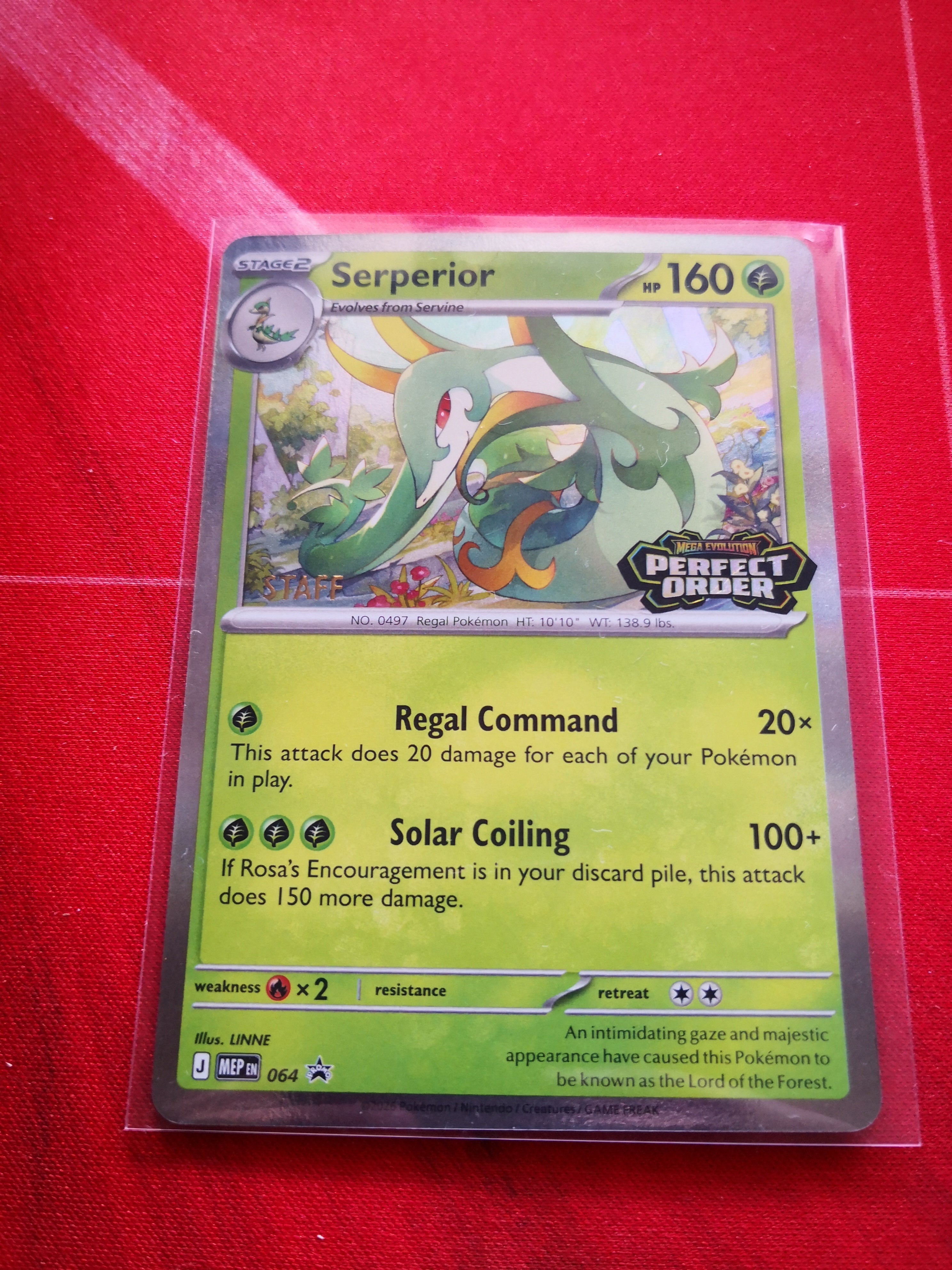 Serperior 064 -Staff Stamped - Mega Evolution Promos - Pokemon TCG Singles