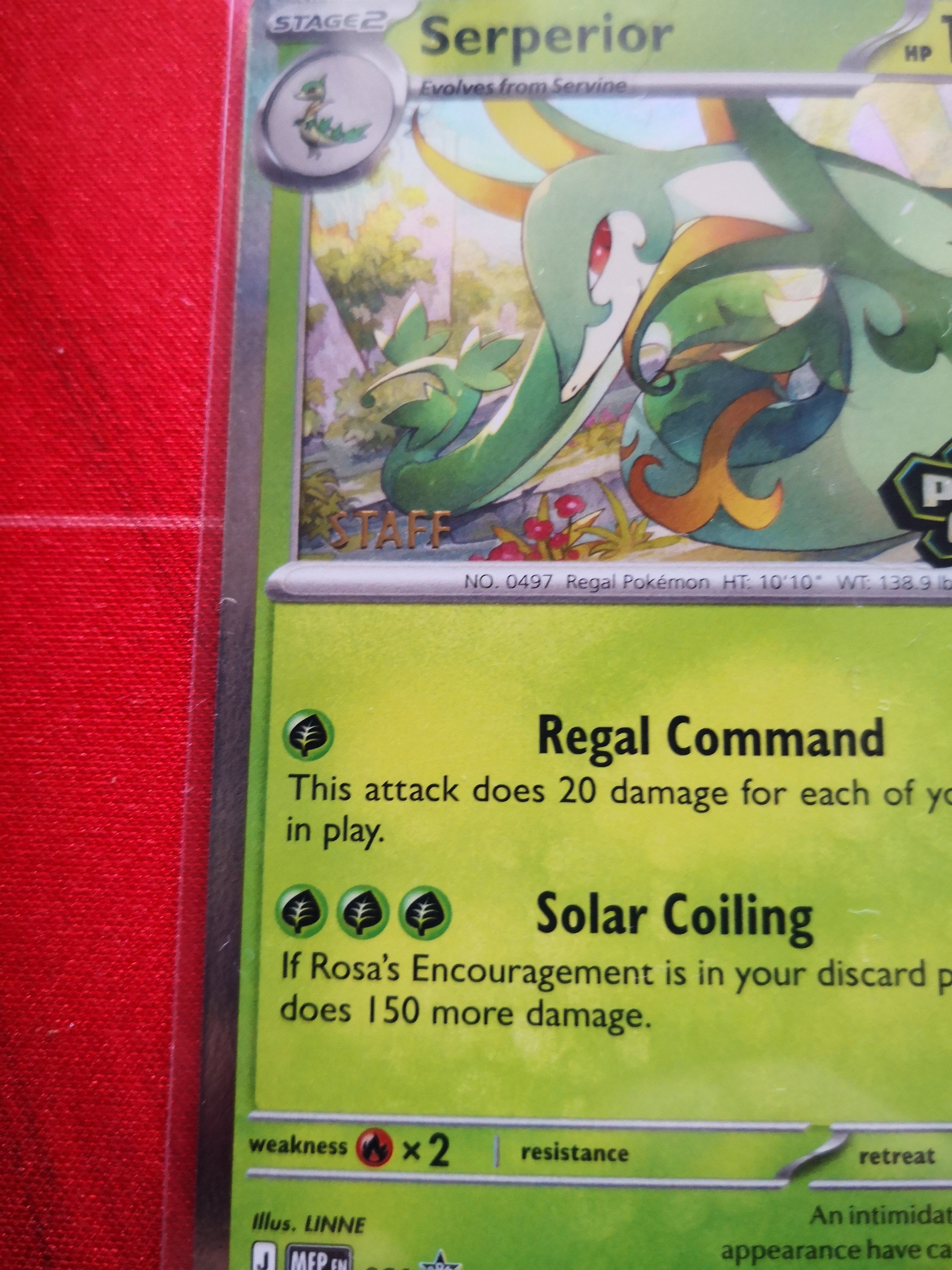 Serperior 064 -Staff Stamped - Mega Evolution Promos - Pokemon TCG Singles