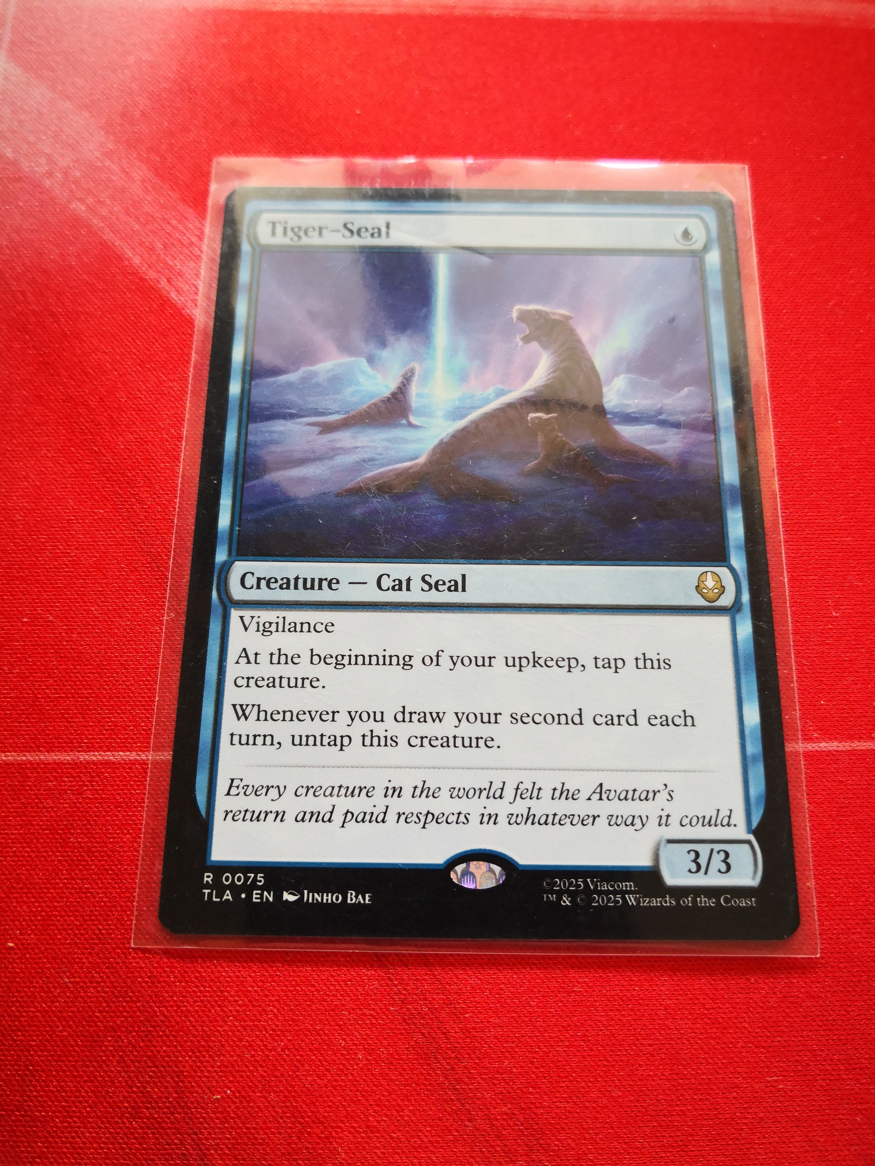 Tiger Seal R 0075