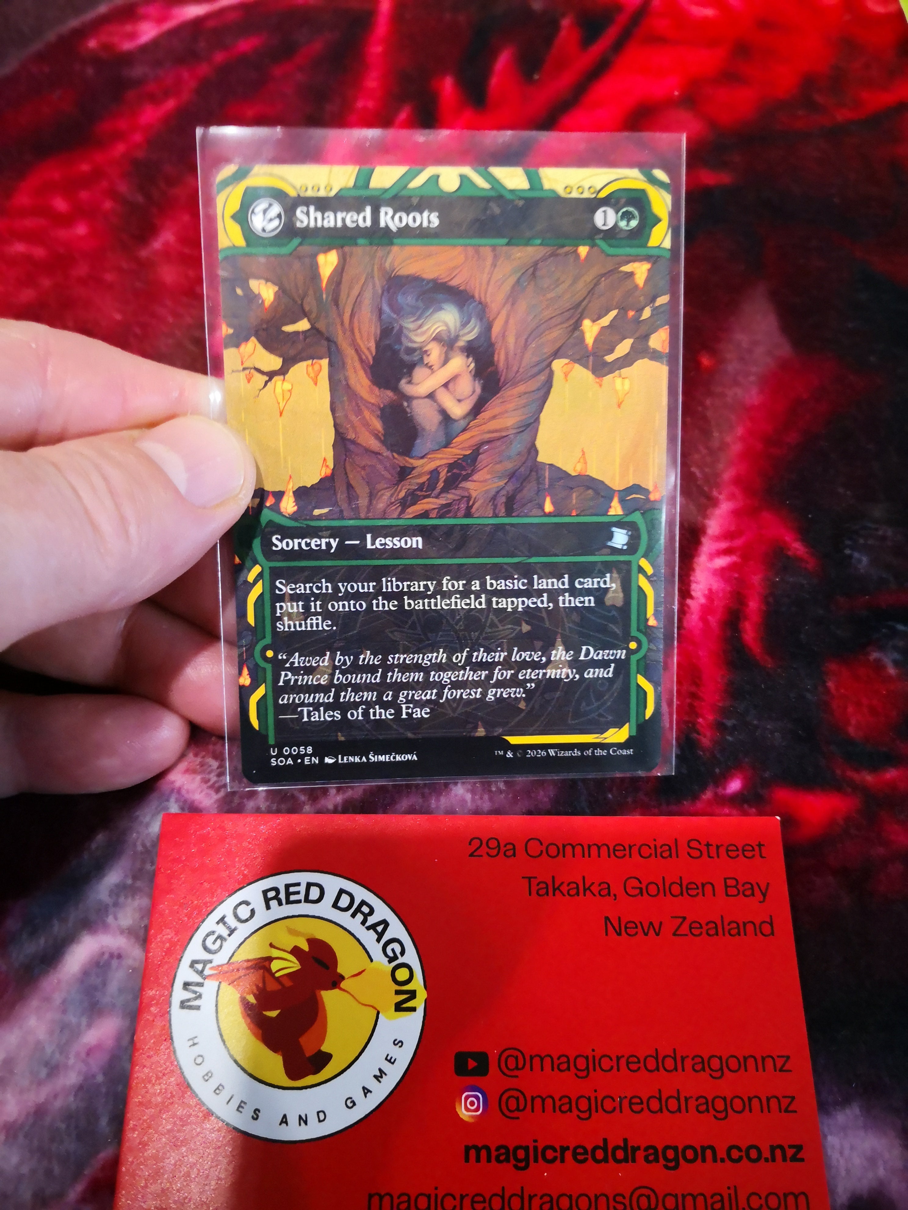 Shared Roots U 0058