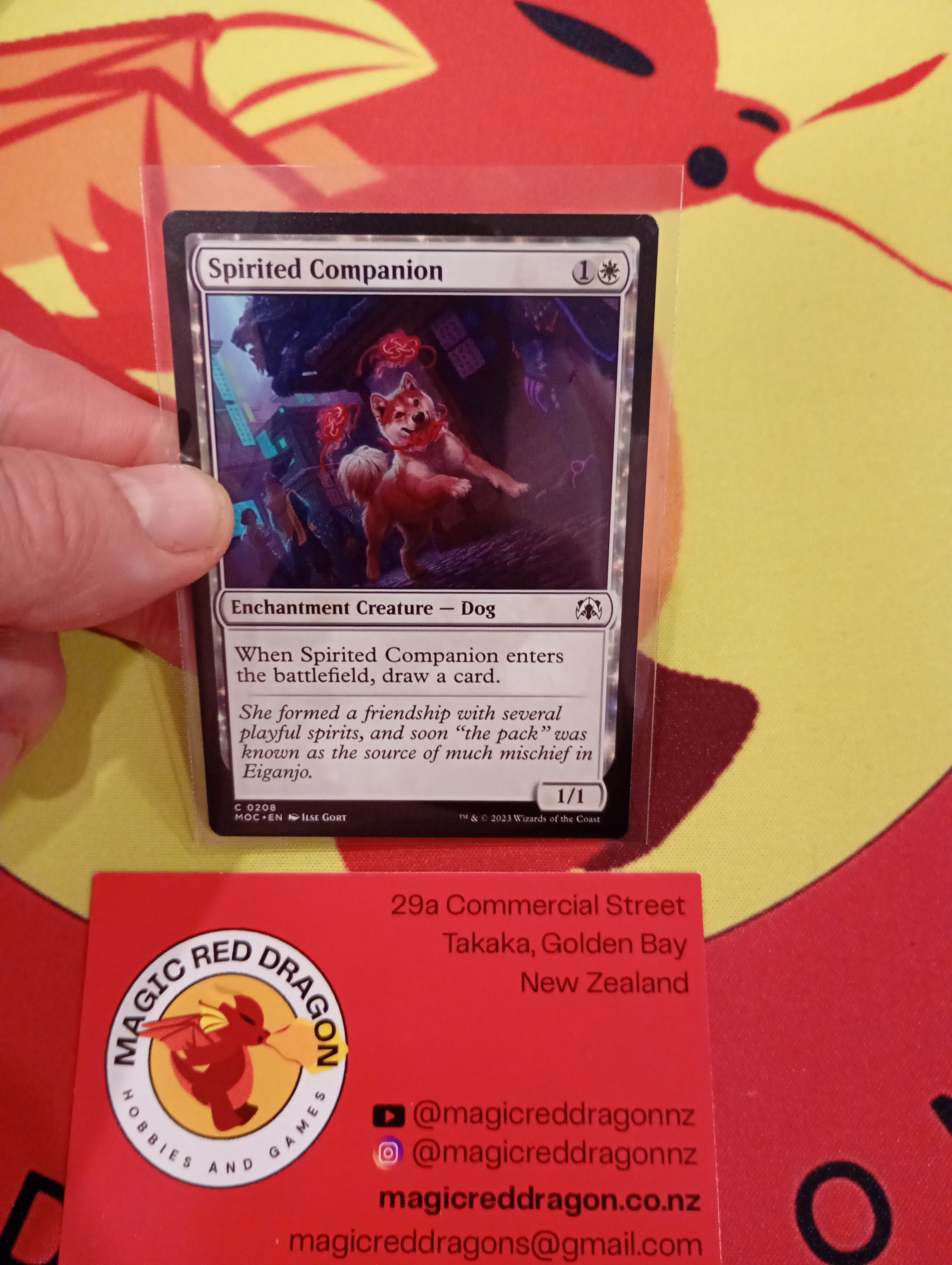 Spirited Companion