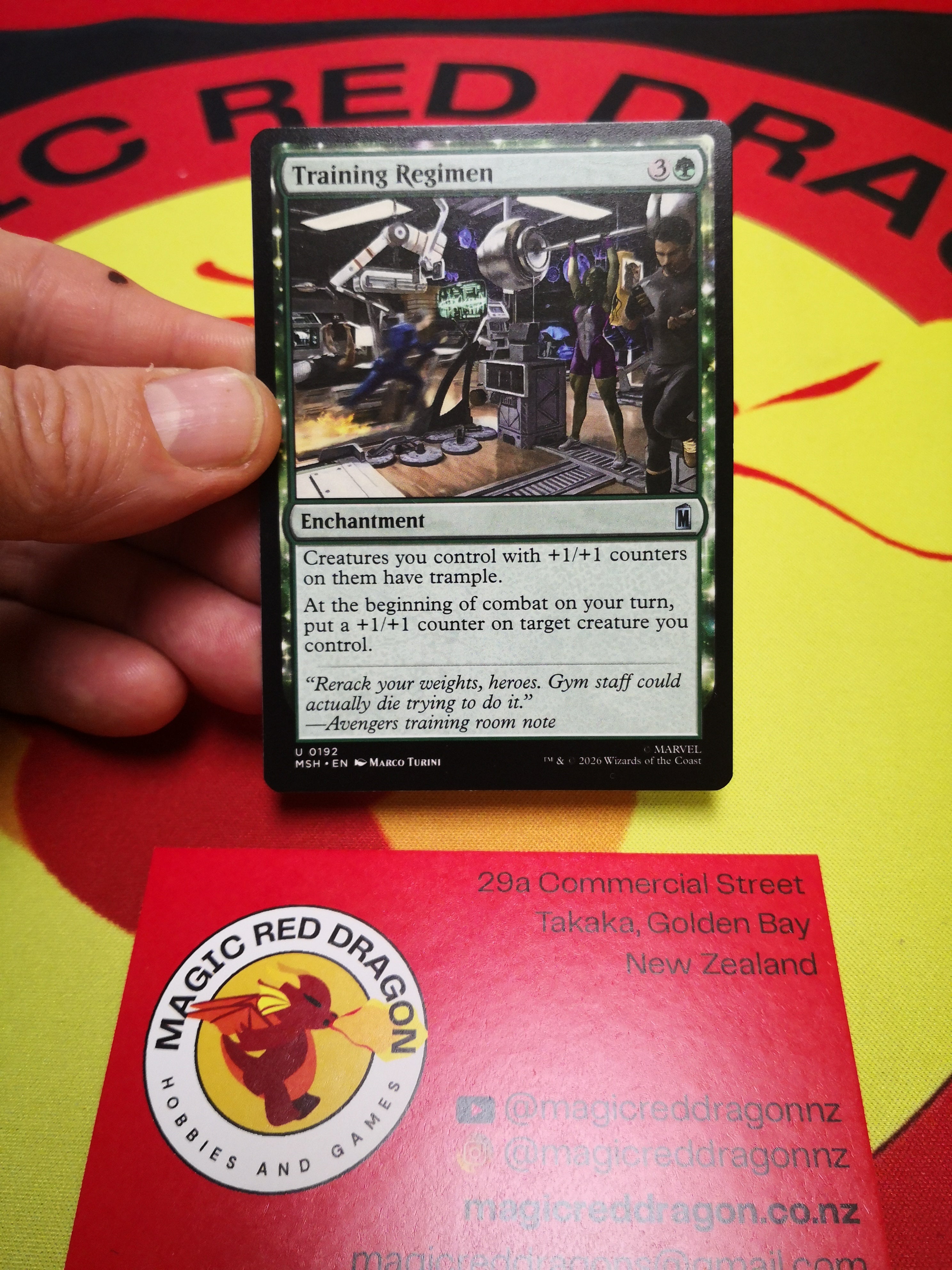 Training Regimen - Mtg singles -