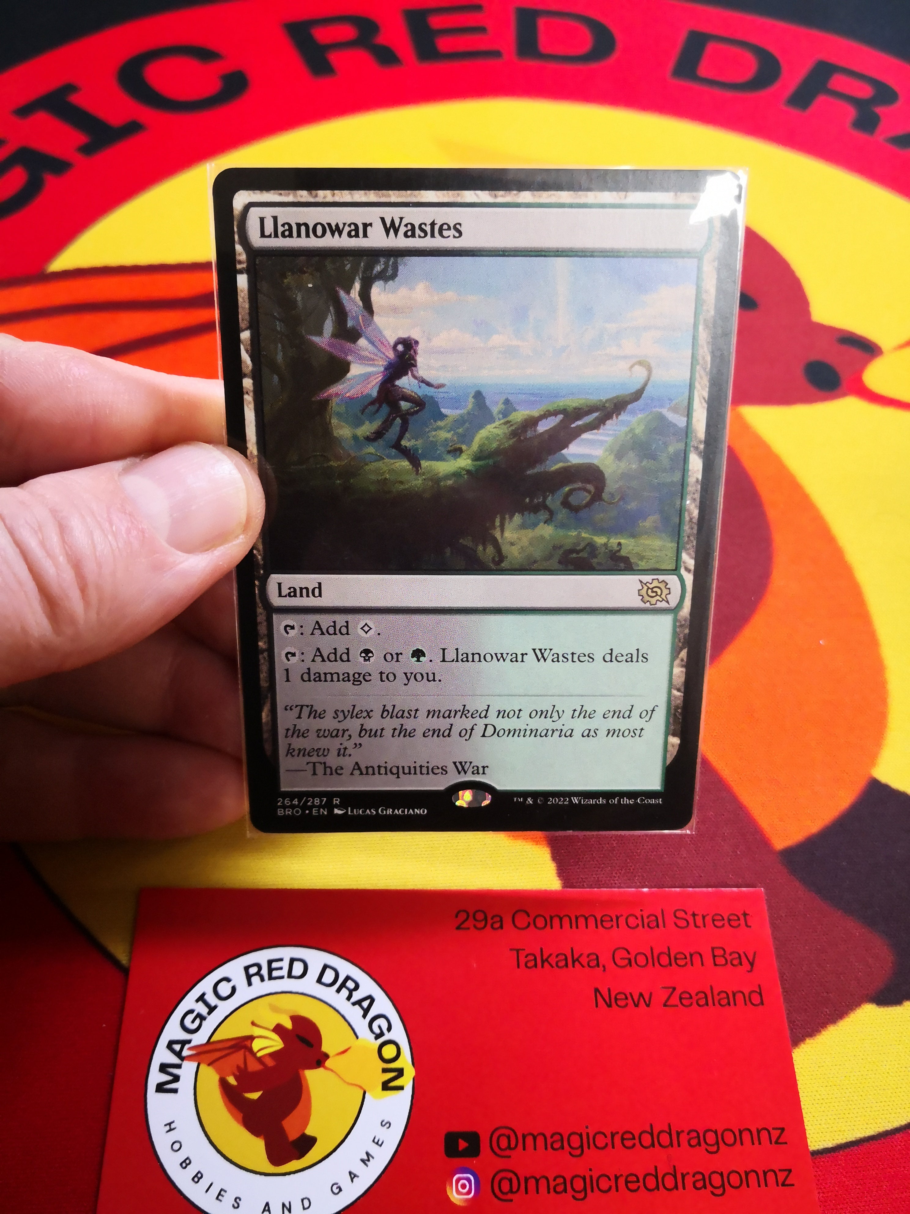 Llanowar Wastes - NM -
