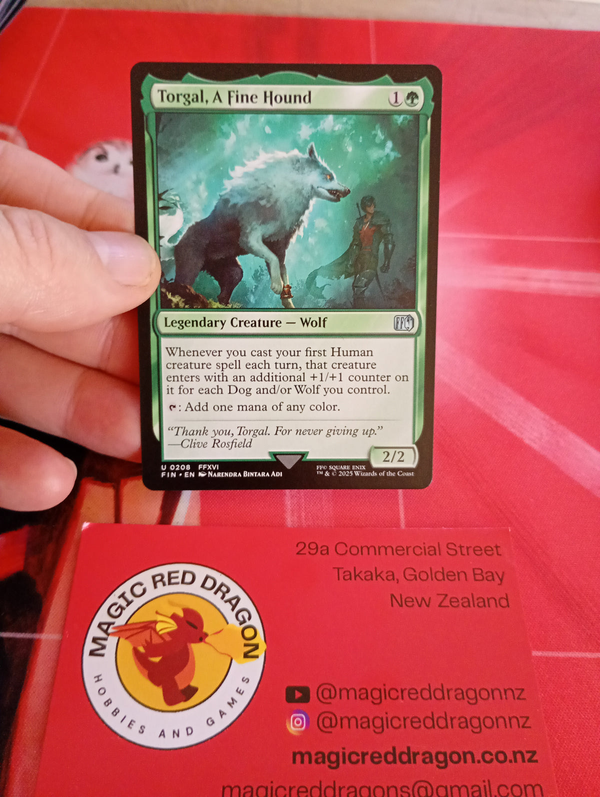 Torgal, A fine Hound - NM-